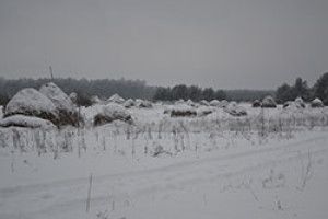 ЗЕМЛЯ МОЯ: автентична архаїка  поліського села