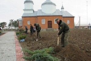 Колківські лісівники подбали про озеленення храму села Красноволя (фото)