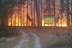 Сильна пожежа зіпсувала свято Великодня у Любомльському районі (Відео)