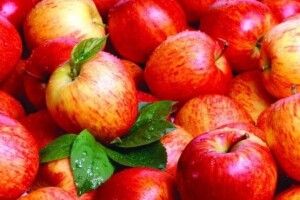 Ціни на українські яблука знизились у півтора рази