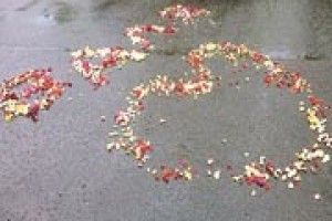 ФОТОФАКТ: трояндове серце — для Валі