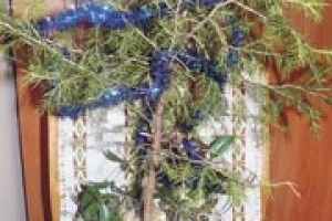 НАОДИНЦІ З ПРИРОДОЮ: барвінково-грибна ялинка