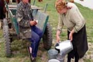 КОМУ ВИГІДНІ НИЗЬКІ ЦІНИ НА МОЛОКО?