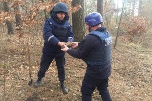 На Рівненщині селянин натрапив на мінометні міни у лісосмузі
