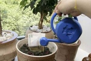 Влада знає, як заробляти гроші «з повітря»: кладе на депозит