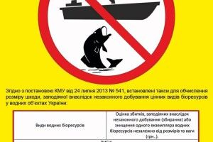 Волинські екологи закликали громадян не заважати щуці нереститися