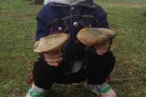 Любешівщина: вимерзла городина, зате вродили маслюки (фото) 