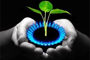 Біогазові потужності в Україні зросли на третину