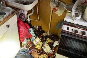 На Волині хулігани «бурхливо відпочили» на чужій дачі