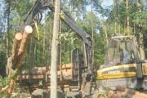 РОБОТА У ЛІСІ ПОТРЕБУЄ НОВИХ ПІДХОДІВ