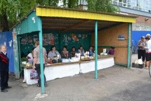 По чім у Турійську лісові дари?