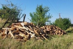 Жителів Рівненщини ошукали на закупівлі дров: представлялися, що з волинського лісгоспу