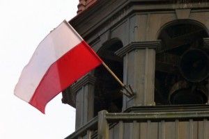 Польські фермери запрошують на роботу українців