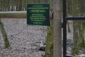 Штраф або громадські роботи, або обмеження волі до 3-х років «світить» убивцям ланей на Волині  