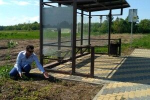Волинянин, який сіє чорнобривці уздовж трас, в шоці: їх покропили отрутохімікатами
