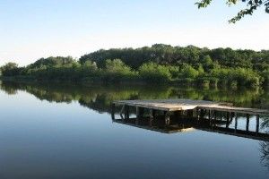 Прокурори в суді вимагатимуть повернення державі земельної ділянки вартістю понад 2 млн грн. на Іваничівщині