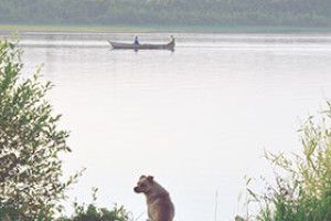 ФОТО НА КОНКУРС: добре бути Шариком, а не Муму