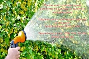 Рівненський зоопарк шукає охочого дихати свіжим повітрям, стригти і поливати
