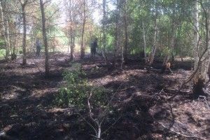 На Волині горять торфовища