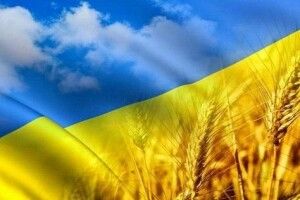 Над меріями чеських міст Пардубіце та Брно 24 серпня майорітиме синьо-жовтий прапор