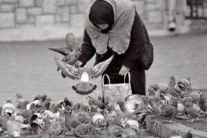 Відійшла у засвіти жінка, яка годувала голубів на Театральному майдані