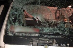 Не було шансів вижити: 16-річний хлопець стрибнув з мосту на лобове скло вантажівки 