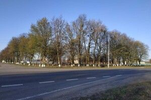 Благоустрій по-війницьки: депутат пригнав транспорт і надав інвентар, а люди закатали рукави