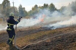 Сьогодні на Волині ліквідували три займання сухої рослинності