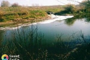 «Луцькводоканал» спускає відходи у Стир