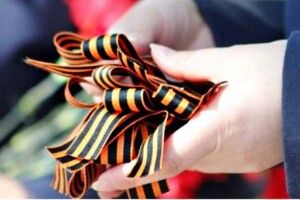 Сповідь правдивого «колорада»