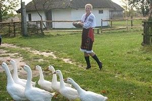 ВІКНО РУБРИКИ: у музеї —  не тільки екскурсії