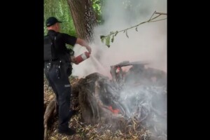 На Волині патрульні не дали загорітися парку