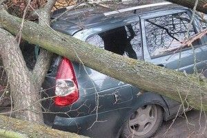 Як вітер розтрощив автомобіль на Рівненщині (ФОТО)