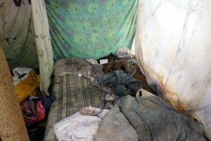 Мама із шестимісячним хлопчиком жили в курені посеред лісу… (фото)