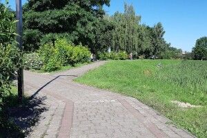 У Рожищі відремонтували доріжку в парку