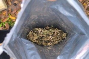 У волинянина під час обшуку знайшли наркотики