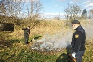 Рятувальники запобігли загорянню сухотрав’я поблизу Луцька