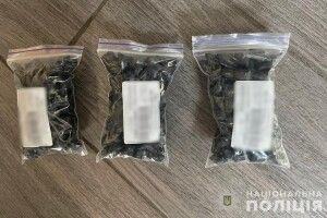 Волинські оперативники затримали наркоділка, який промишляв на території Волині та Львівщини