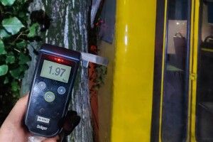 У Рівному п'яний перехожий викрав маршрутку і влетів у дерево