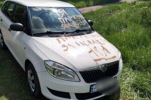 Власника іномарки наказали за парковку на газоні