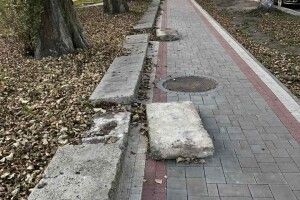 Камери в луцькому парку зафіксували трьох зловмисників (Відео)