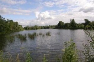 Троє підприємців позбулися орендованих на Рівненщині ставків