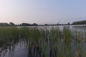Ятері, сітки, острога: повідомили, де і з чим незаконно рибалили волиняни