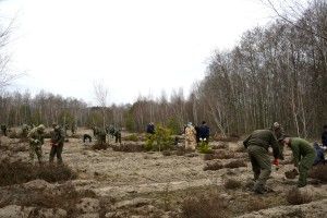 У Шацькому нацпарку садили сосни та берези (фото)