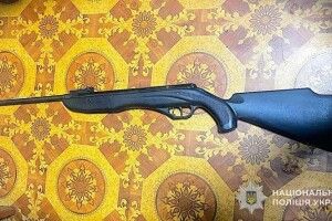 На Львівщині жінка розстріляла собаку посеред білого дня