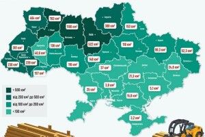 Де найбільше вирубують ліси