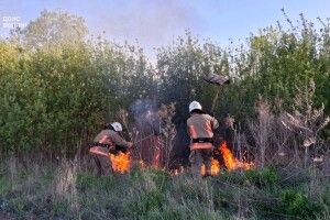 На Ковельщині через людську недбалість горіло 6 гектарів сухої трави 