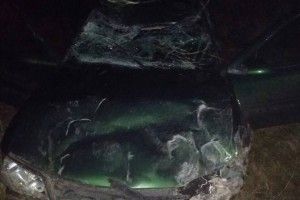 На Волині автомобіль врізався у підводу – троє загиблих 