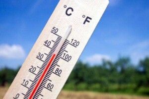 Які рекорди уже поставило на Волині сьогоднішнє літо