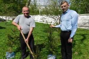 У Горохові біля прокуратури – і дерева, і троянди